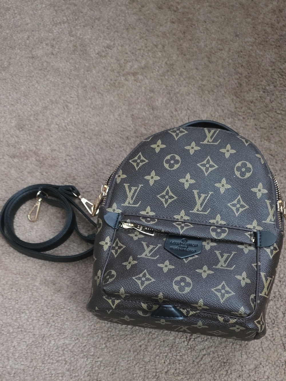 Mini Backpack with Gold Hardware